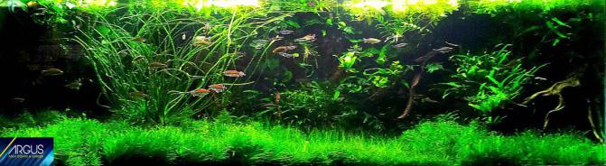 akwarium_jakub_dymek_argus_zoo_wroclaw_akwarium_morskie_najtaniej_wolow_polska_aquarium_fish_only 2 kopia
